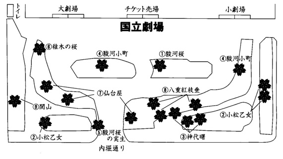 国立劇場桜地図