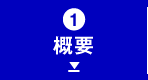 概要