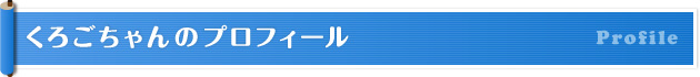 くろごちゃんのプロフィール